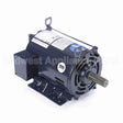 E317M2 Century Motor