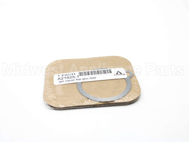 A21825-1 Armstrong International Gasket F/800,880,811,881 Trap