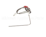 E508818 Eloma Ionisation Electode 1221 2021 Bj11