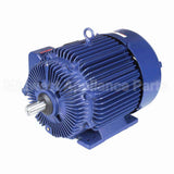 E566 Marathon Motor