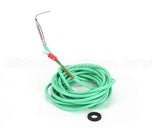 E570621 Eloma Sensor Air & Water Temp Nicrni (Pull Lit