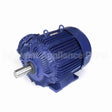 E574 Marathon Motor