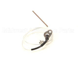 E874906 Eloma Ionis Electric D2K 611 1011 2011 (Pull L