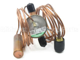 EA36YC126 Carrier Expansion Valve