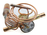EA36YP213 Carrier Thermal Expansion Valve