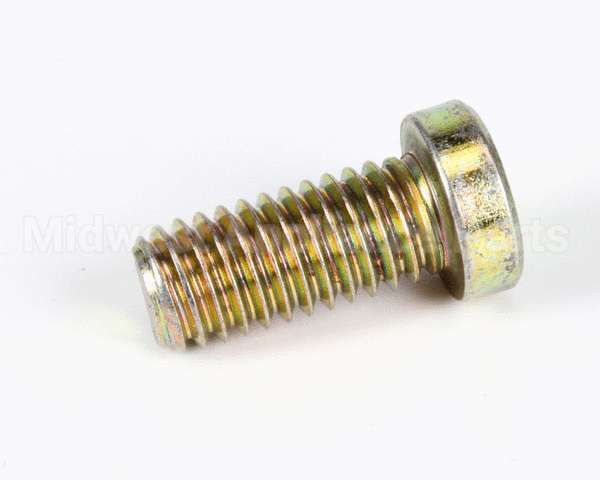 1058 Globe Screw