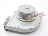 100074228 Lochinvar & A.o. Smith Fan Motor