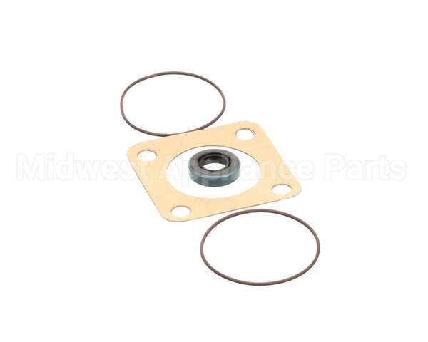 807-1197-3 Frymaster Viking Pump Seal Kit