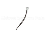 EL LGT1601 Randell Light,Blue, Pilot 250V W/Leads