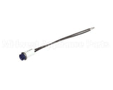 EL LGT1601 Randell Light,Blue, Pilot 250V W/Leads