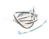 ENC-1208-1 Turbochef Harness, High Voltage, Mw Circ