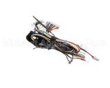 ENC-1685 Turbochef Wire Harness, Low Voltage
