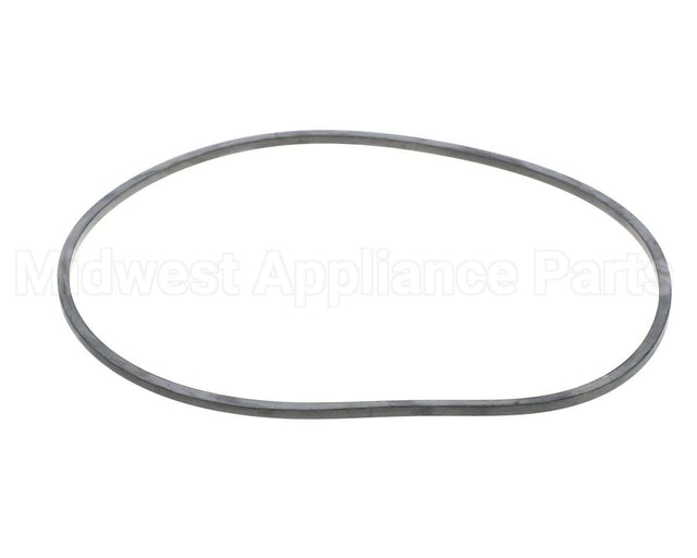 EV094400 Everpure Gasket Sq. Cut T-9/20