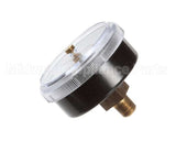 EV306818 Everpure Back Mnt Brass Gauge 0-125 Psi