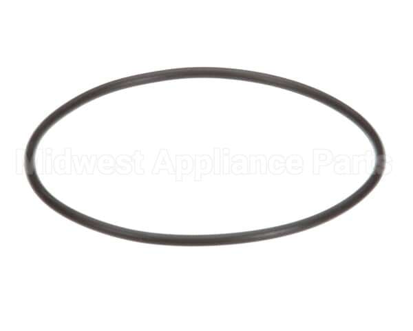 EV307119 Everpure Replacement O-Ring