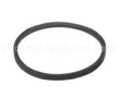 F170-70577803 Intl Environmental Corp A22 Belt 24 In
