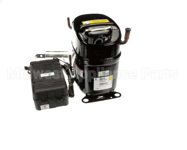 302200R0100 Beverage Air Compressor