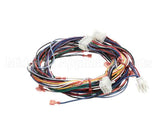 300892 Cleveland Wire Harness,Right Gen. Lower,