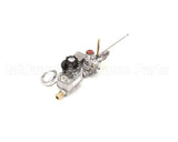 51041-6 Montague Thermostat/Safety-Control Assembly