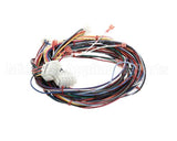 300892 Cleveland Wire Harness,Right Gen. Lower,