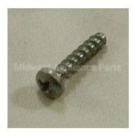 WH01X10100 GE Screw 8-12 X 750