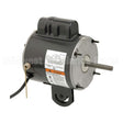 FD13AA2P4Z9 US Motors Nidec Poultry Fan Motor