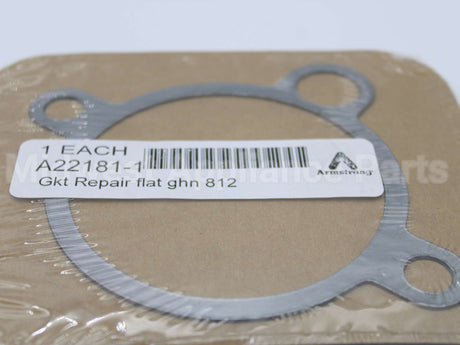 A22181-1 Armstrong International Gasket F/812,882