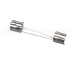 FE-008-48 Hobart Fuse,250V,6/10A