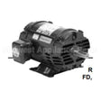 FF40E1ES US Motors Nidec Fire Pump Motor