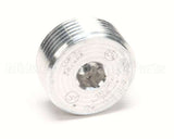 FP01-021 Henny Penny Plug Pipe 1 Inch A