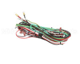 FRE-1160 Turbochef Wire Harness