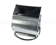 G019080 Aaon Blower Assy 260W/187-291
