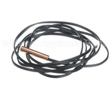 G100-70289342 Carrier Remotetempprobe60",Pipemt