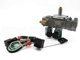 G196HGK-2 Baso Gas Products 1/2" Comb Lp Gas Valve 24V
