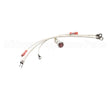 G2-156111 Star Pilot Light Assem