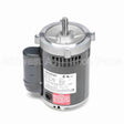 G212A Marathon Motor