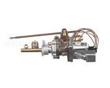 GR18520 Entree Oven Thermostat, Safety Valve