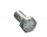 H00117 Globe Screw, Hex Head