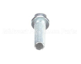 H00187 Globe Screw, Cheese Head