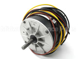 HB37GQ240 Carrier 208-230V1Ph 1/5Hp 1/6Hp 810Rpm