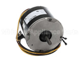 HC39GE238 Bryant Payne Motor