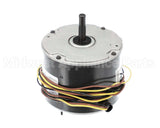 HC39GE464 Bryant Payne Motor, 460V, 1/4Hp