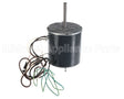 HC43GE208 Bryant Payne Fan Motor, Condenser