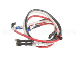 HCT-4086-2 Turbochef Wire Harness, Ssr To Distribut