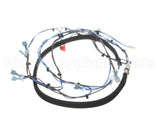 HCT-4400-4 Turbochef Main Harness, Line Voltage
