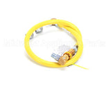 HG-4C-48S T&S Brass Gas Hose W/Quick Disconnect, 1/2 Npt, 48