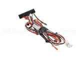 HHB-8311.B Turbochef Wiring Harness, Lo-Voltage, Main