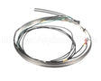HTR15191 Trane Belt 230-240V 90/100W 76"Lds