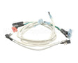 I3-9385-1 Turbochef Assembly, High Voltage Wires, 60 H