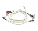 I3-9385-1 Turbochef Assembly, High Voltage Wires, 60 H